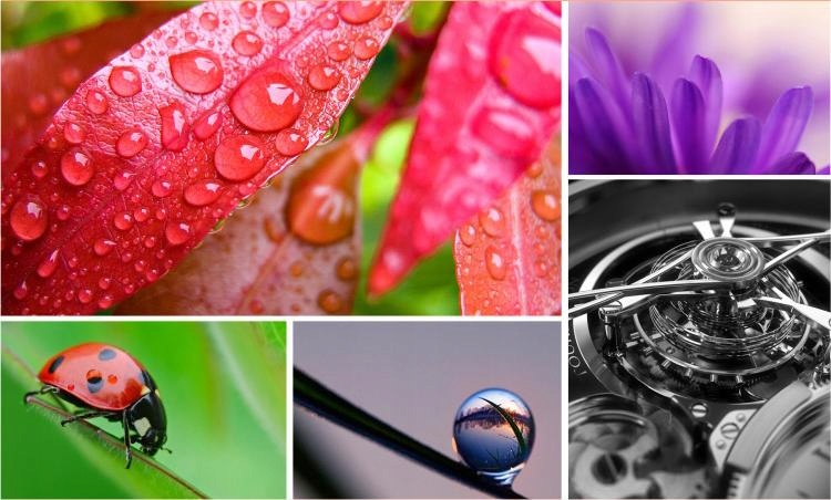 Pierścienie pośrednie makro Micro 4/3 MEIKE AF MK-P-AF3A Rodzaj pierścienie