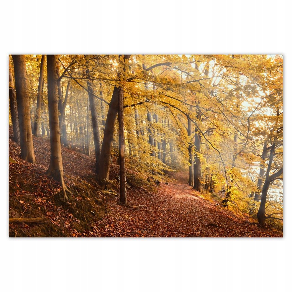 

Plakaty 60x40 Pejzaż Krajobraz Widoczek