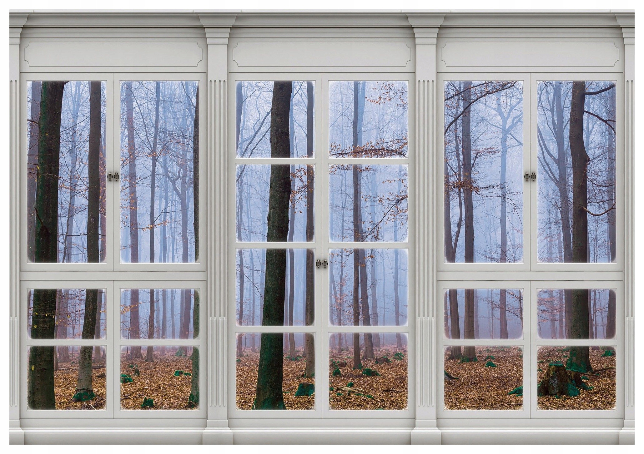 Fototapeta Hmlistý les Okno Jesenné vinylové ráno 254x184 lepidlo