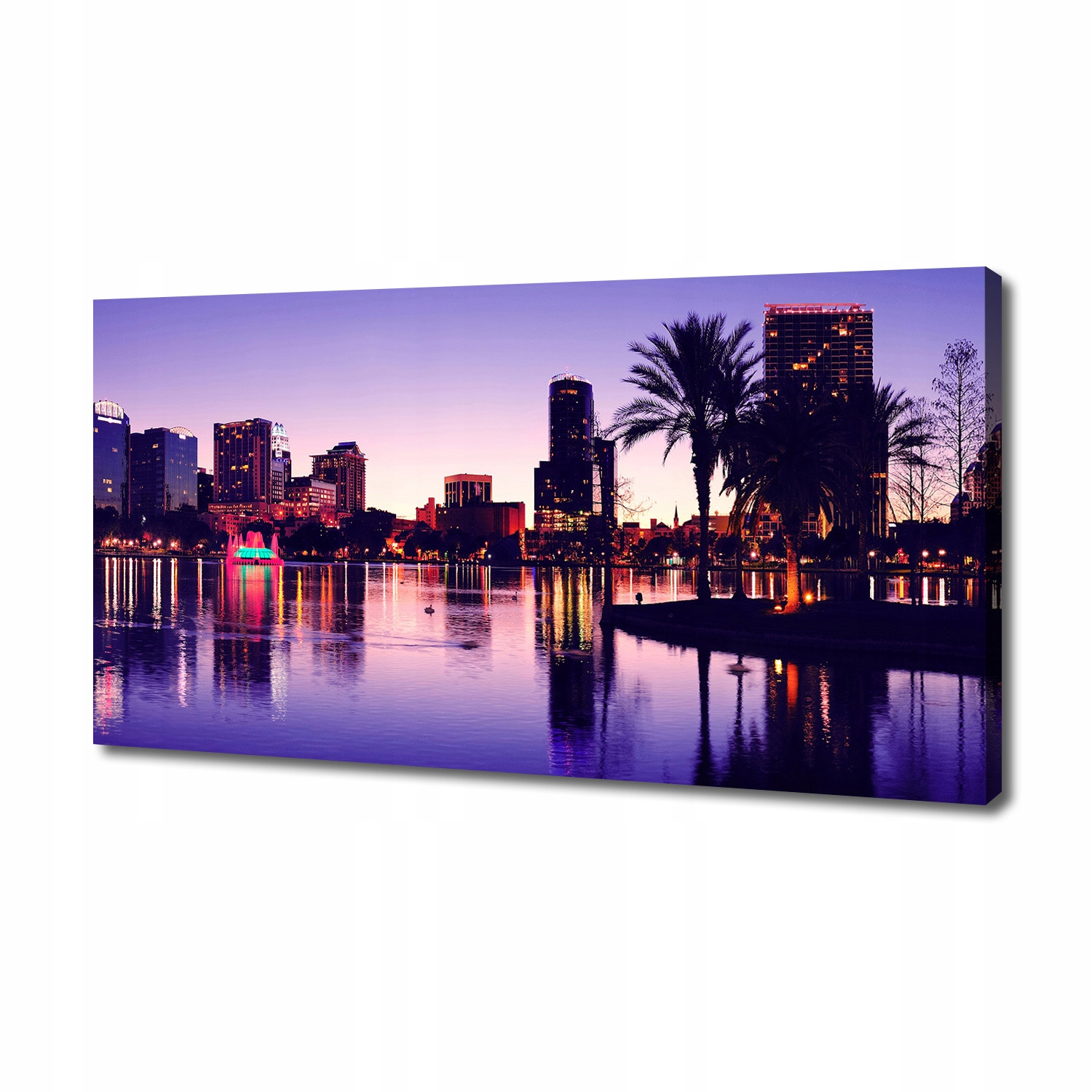 

Foto obraz canvas na ścianę Orlando Usa 140x70 cm