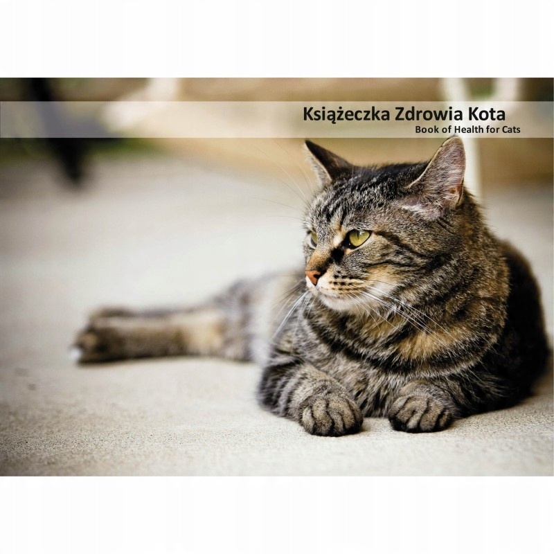 

Książeczka zdrowia kota burasek kot domowy
