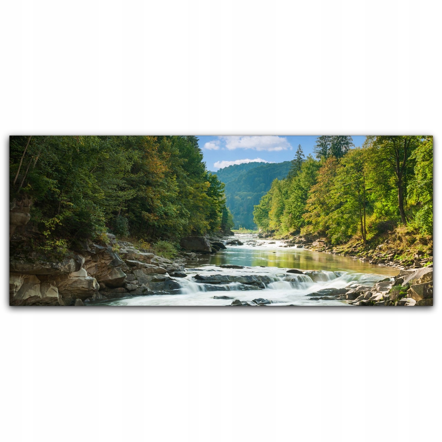 

Obraz na płótnie na ścianę 125x50 Rzeka Las Drzewa