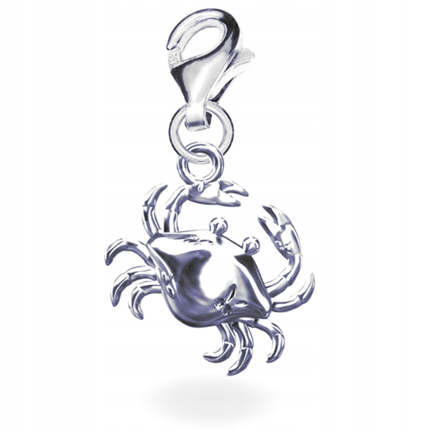 Stříbrný přívěsek na karabinku Krab Symbol obnovy Stříbro 925