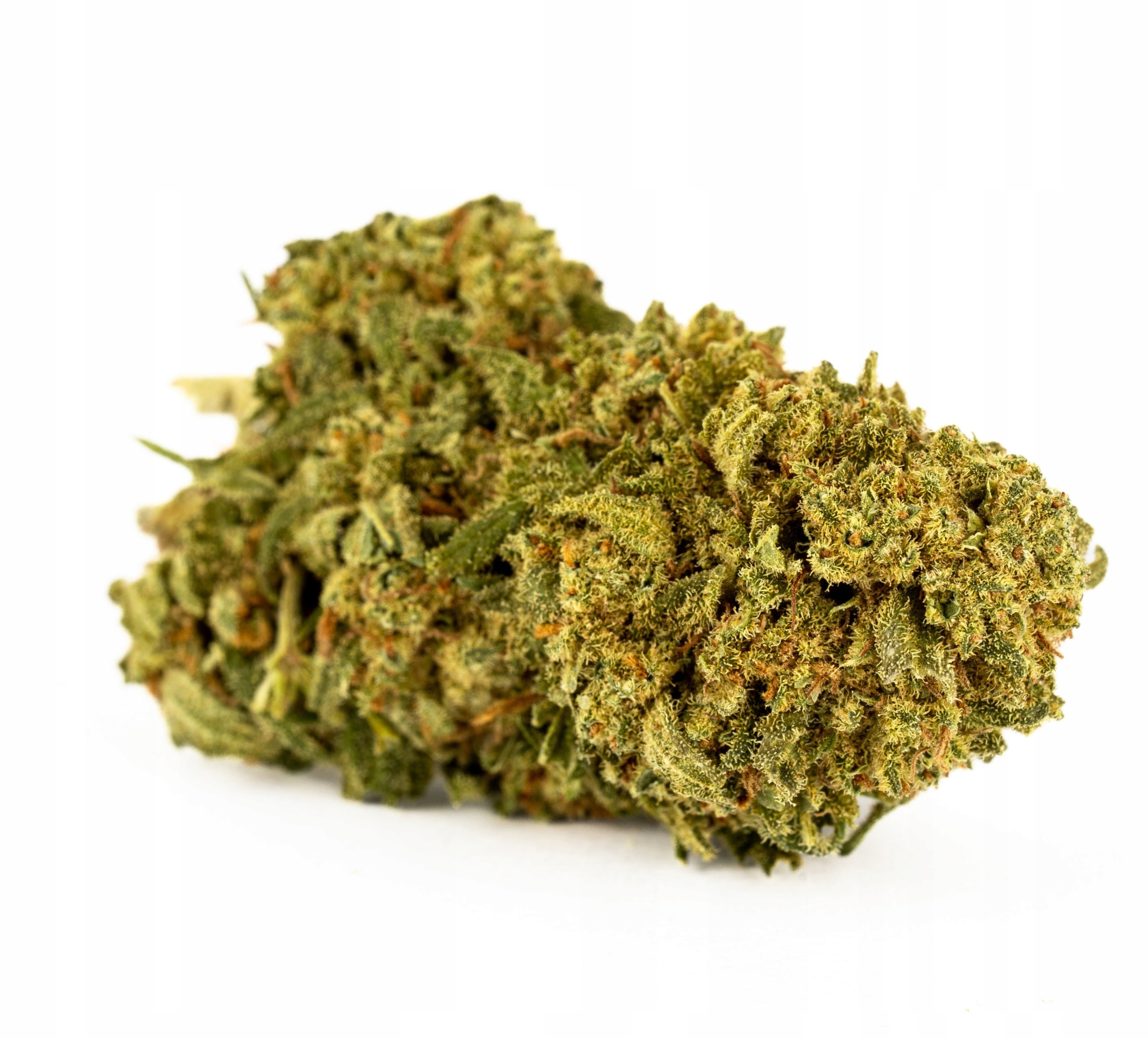 

Mocny susz White Widow 45% Cbd, Thc < 0,3% topy