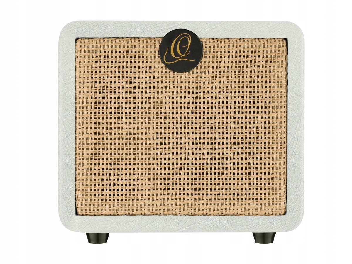 Zesilovač pro akust. kytaru Ortega Ptwo-ltd 12W