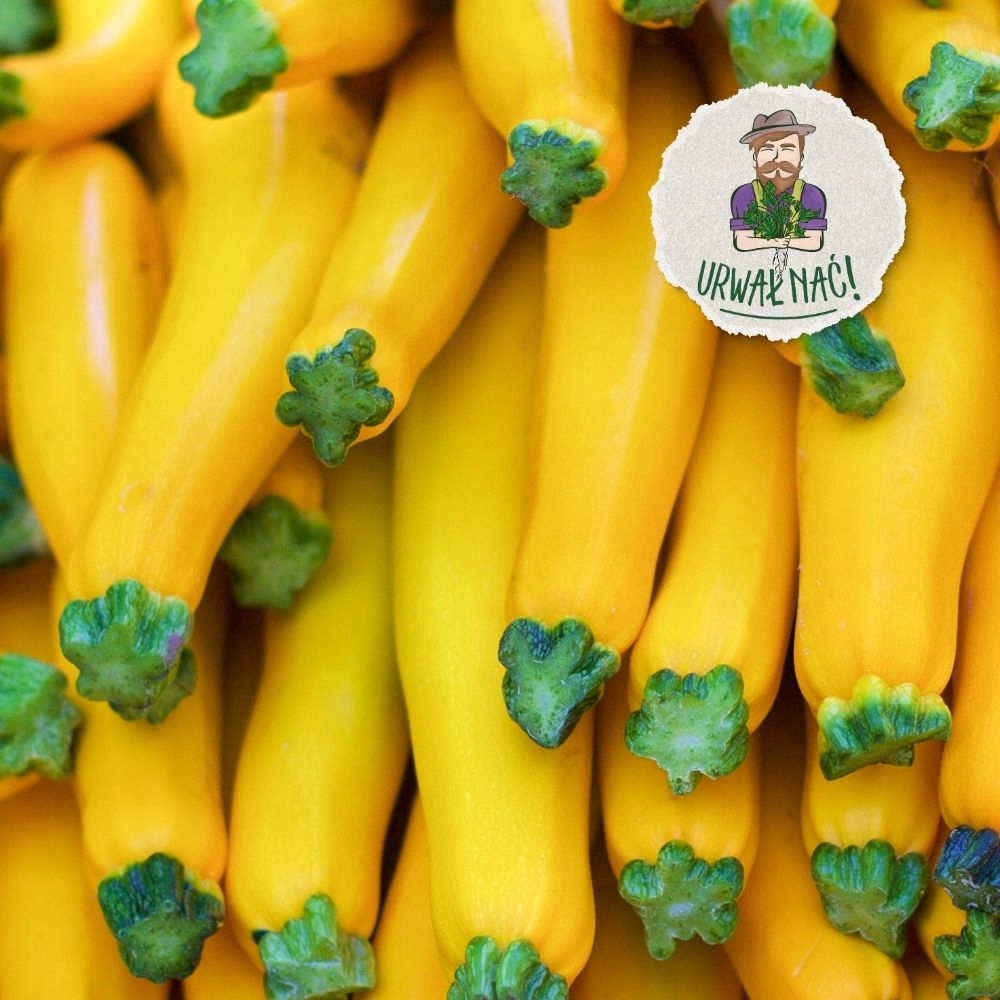 Cukinia żółta 1 kg PYSZNA