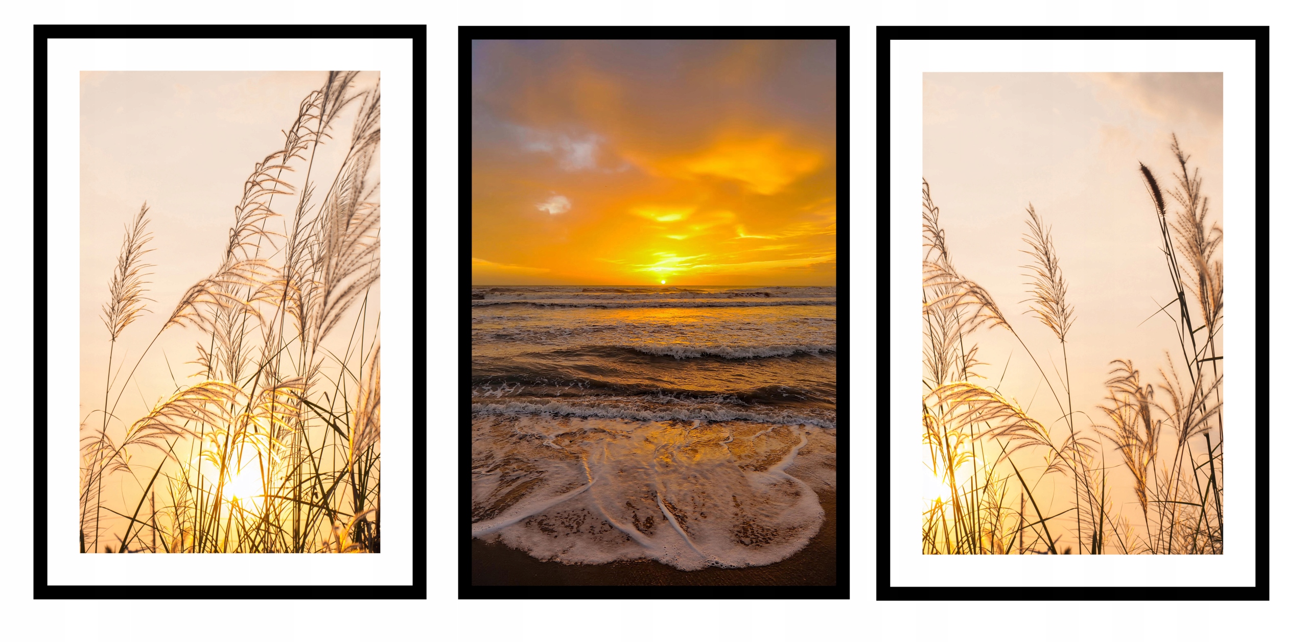 

Zestaw Trzech Obrazów Do Salonu Seria Boho Trawy