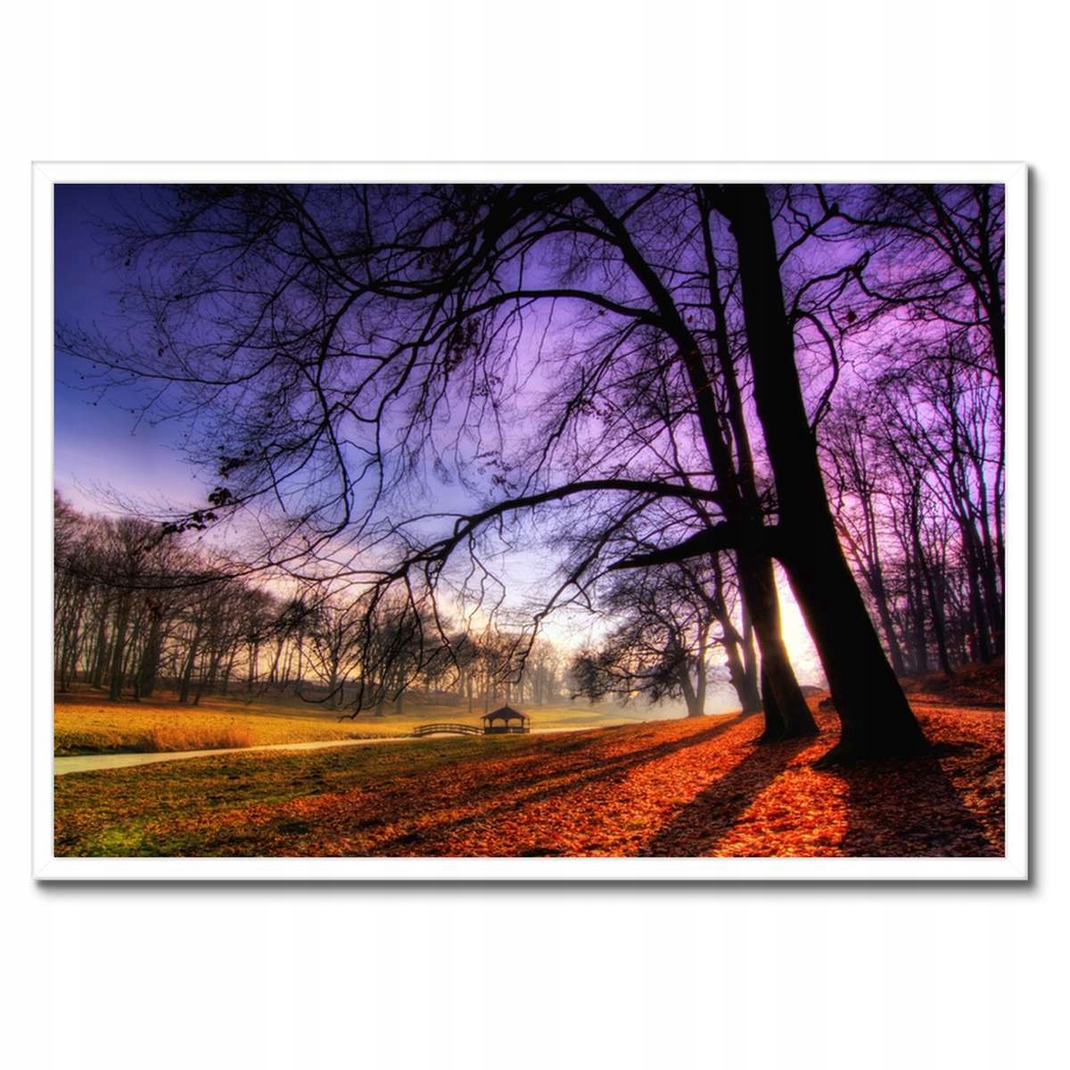 Plakáty v rámu 70x50 Park v Wąsowie