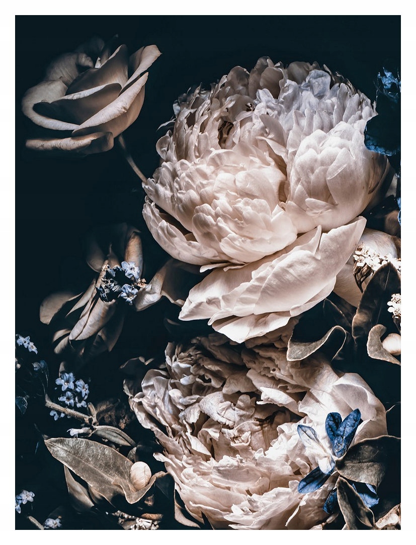 Vliesová fototapeta Pivoňky kytice elegance a klidu 184x254 lepidlo