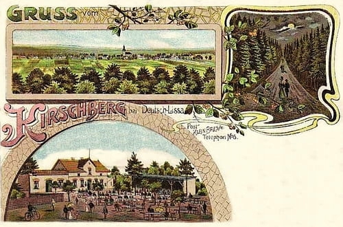 

Wilkszyn widokowa Reprodukcja 28326