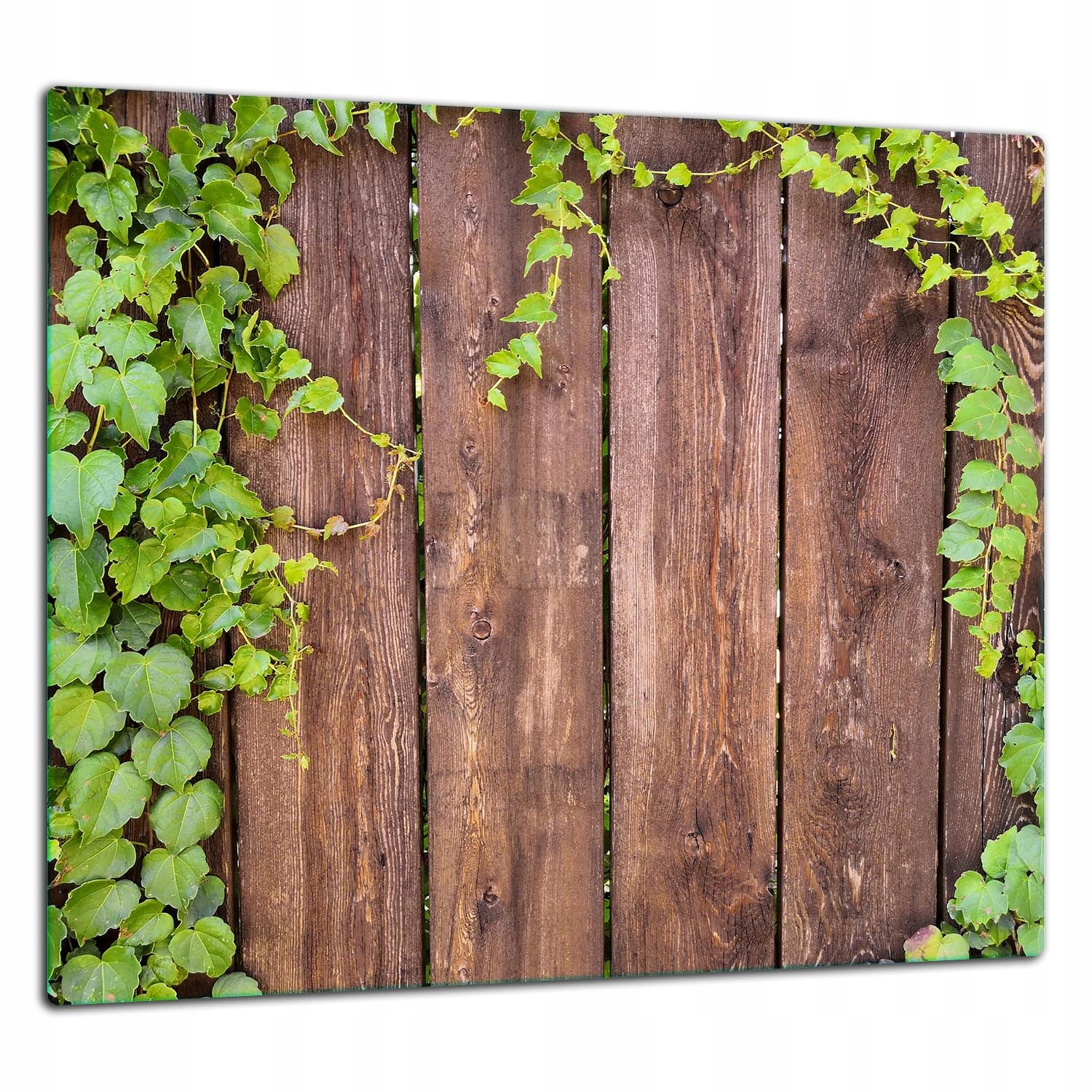 Skleněná Ochranná Deska Panel Lepidlo 65x60 Dřevo Lacobel 7v1