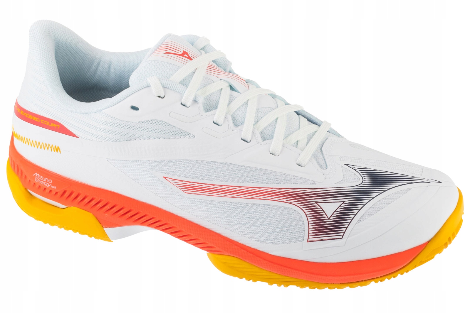 Męskie buty do tenisa Mizuno Wave Exceed Court CC r.44