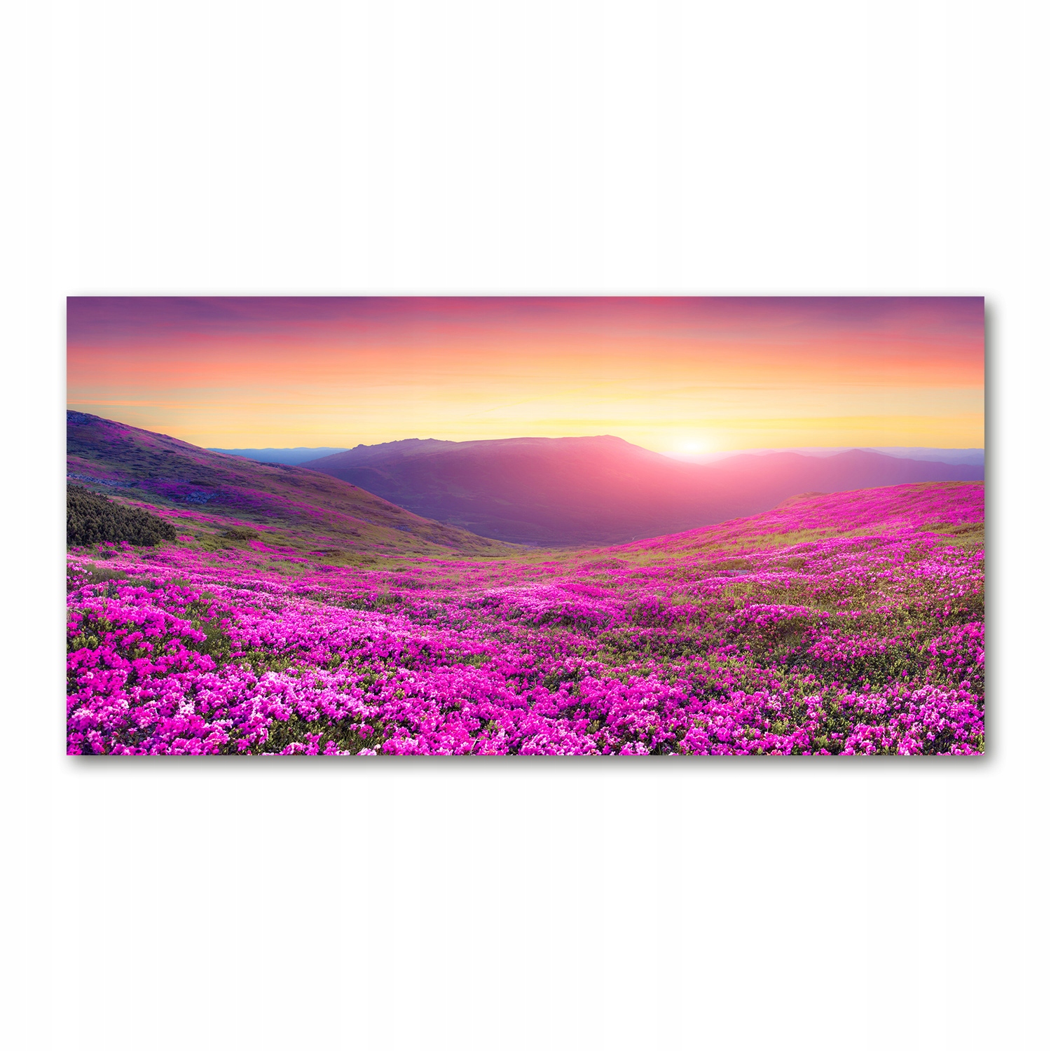 

Foto obraz akryl zdjęcie Różowe wzgórza 120X60 cm