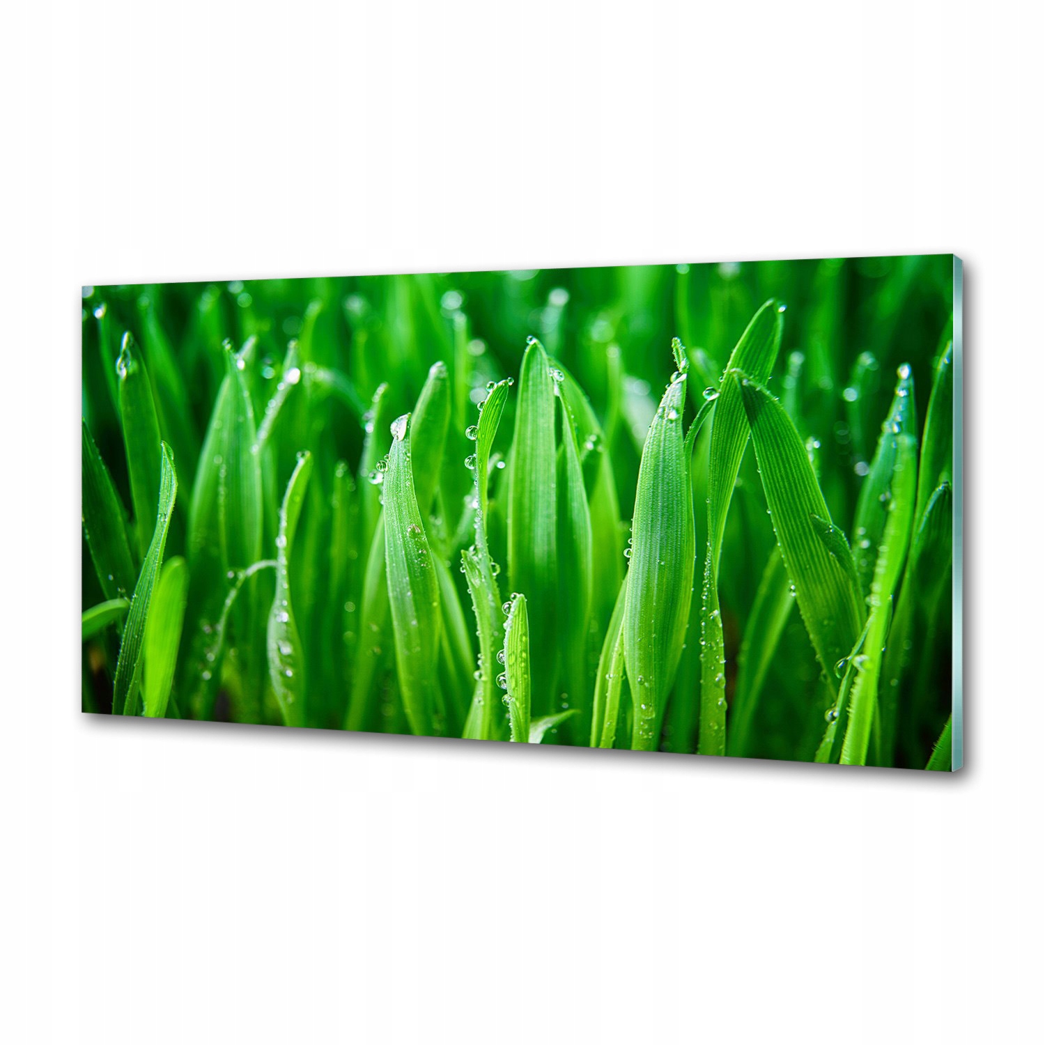 Sklenený panel do kuchyne Tráva 120 x 60 cm Lepidlo