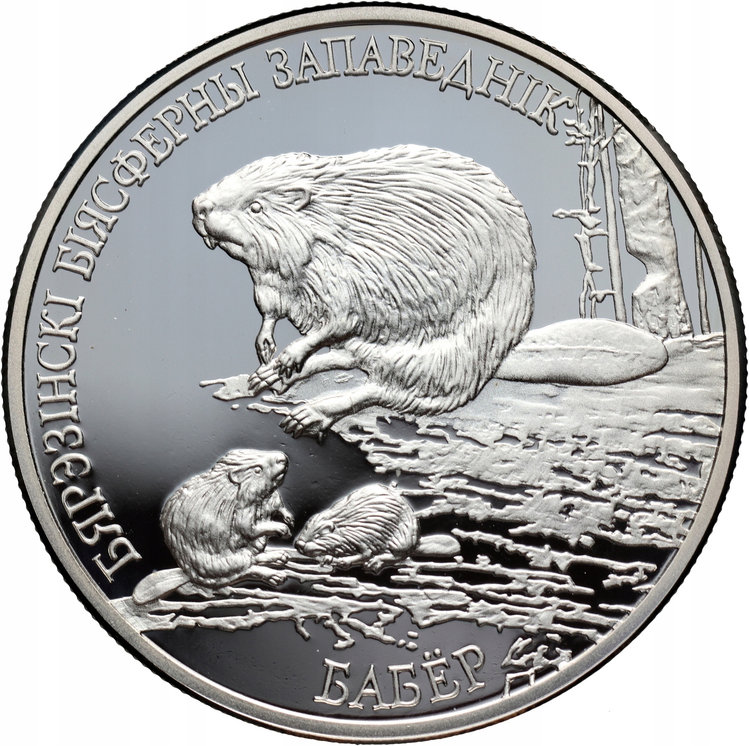 Białoruś, 20 rubli 2002, Berezyński Rezerwat Biosfery, Bóbr