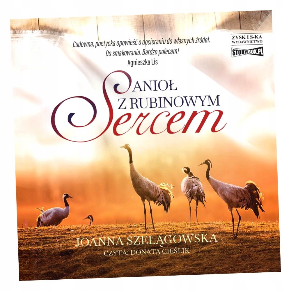 CD MP3 ANIOŁ Z RUBINOWYM SERCEM JOANNA SZELĄGOWSKA