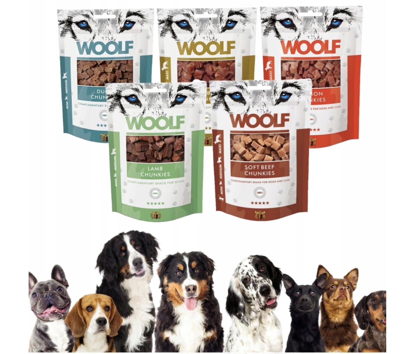 Levně Woolf Psí pamlsky mix chutí 100g * 5 ks