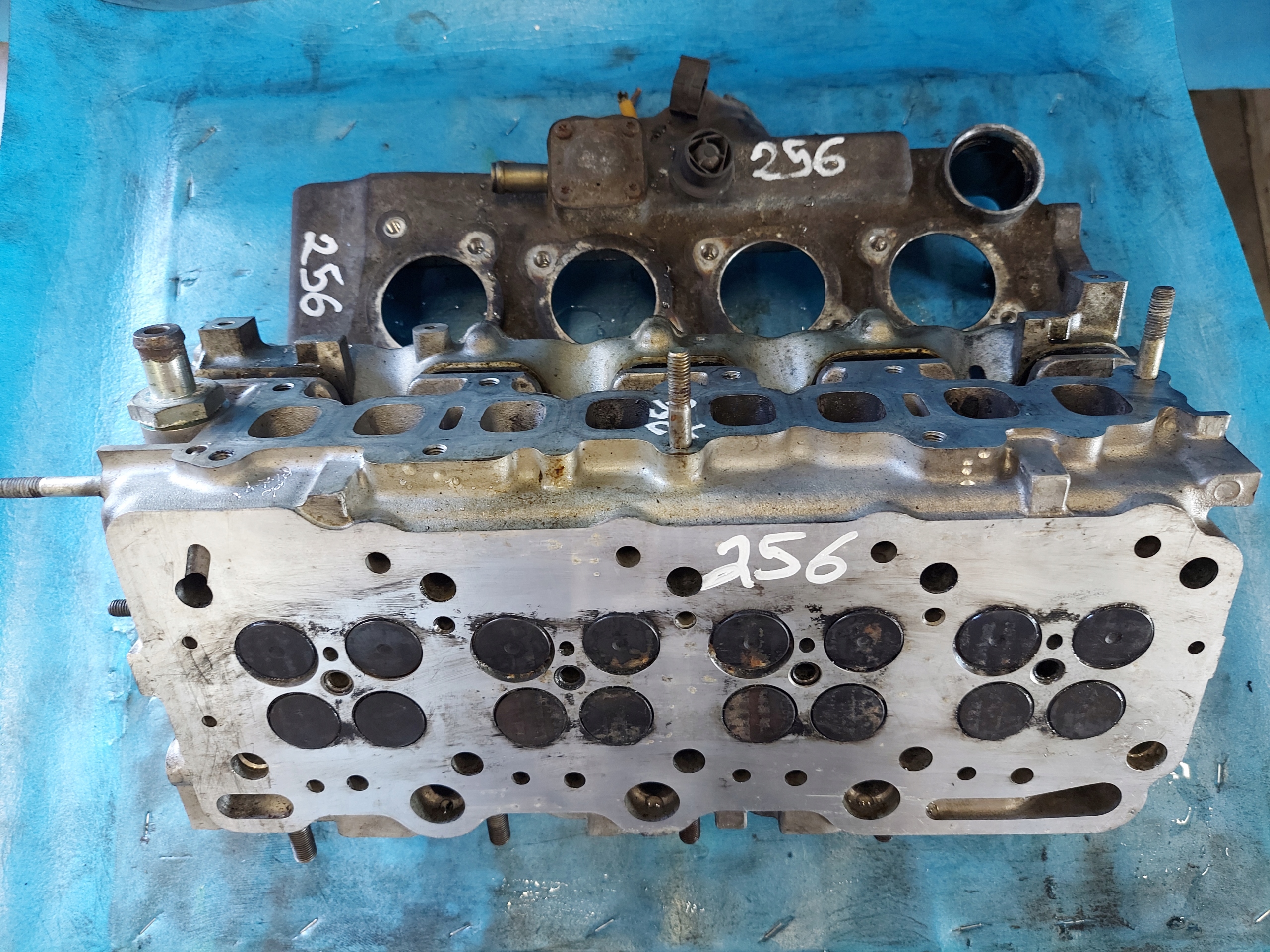 TESTATA ASTRA ,COMBO 1.7 TD Z17DT