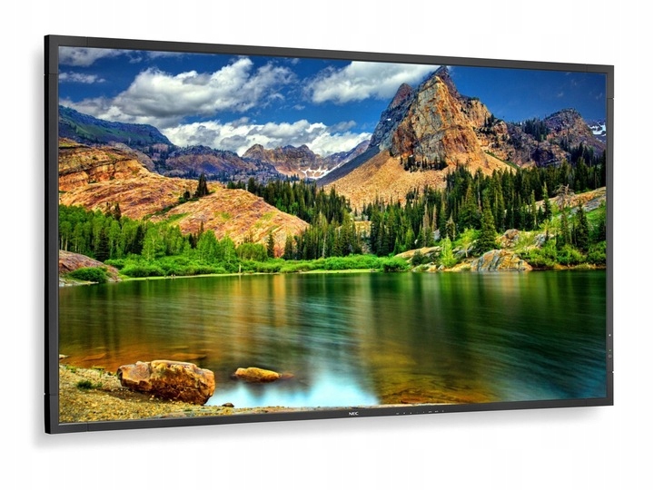 Monitor NEC V552 czarny 55 