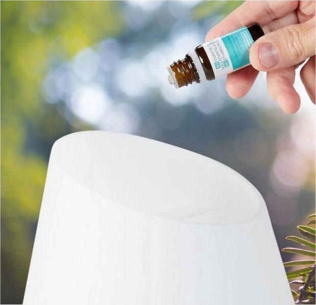 Lanaform Borneo dyfuzor zapachów Stan opakowania oryginalne