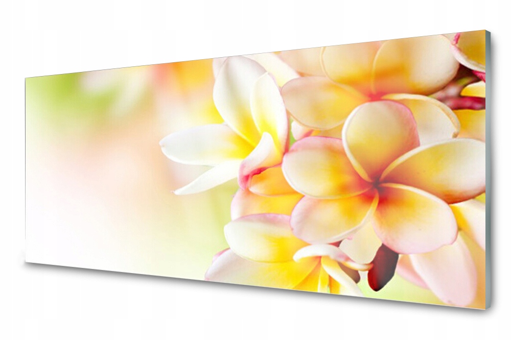 

Panel szklany do kuchni Kwiaty Roślina 125x50