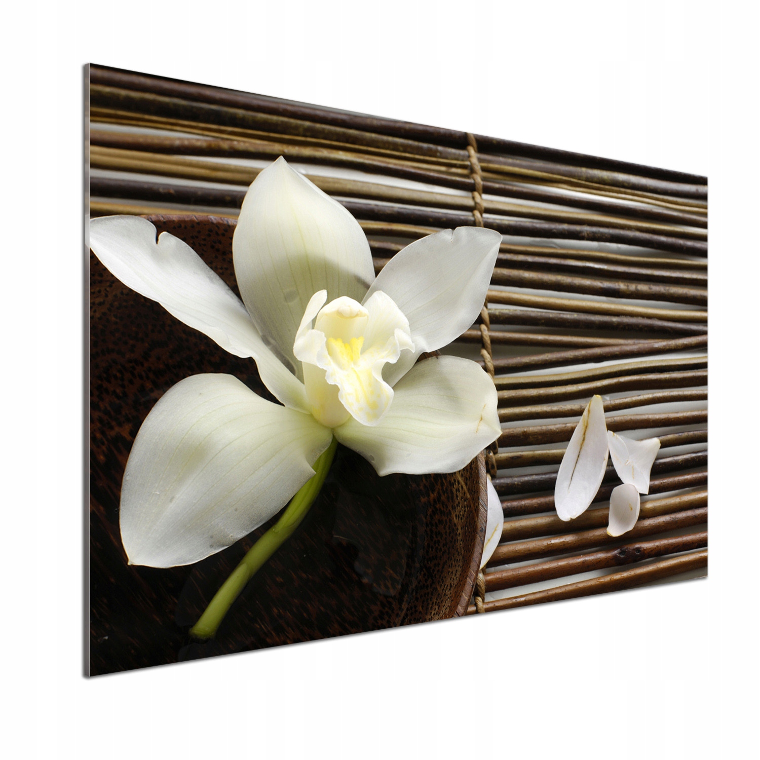 Panel medzi nábytkom v kuchyni Orchidea 100x70 Lepidlo