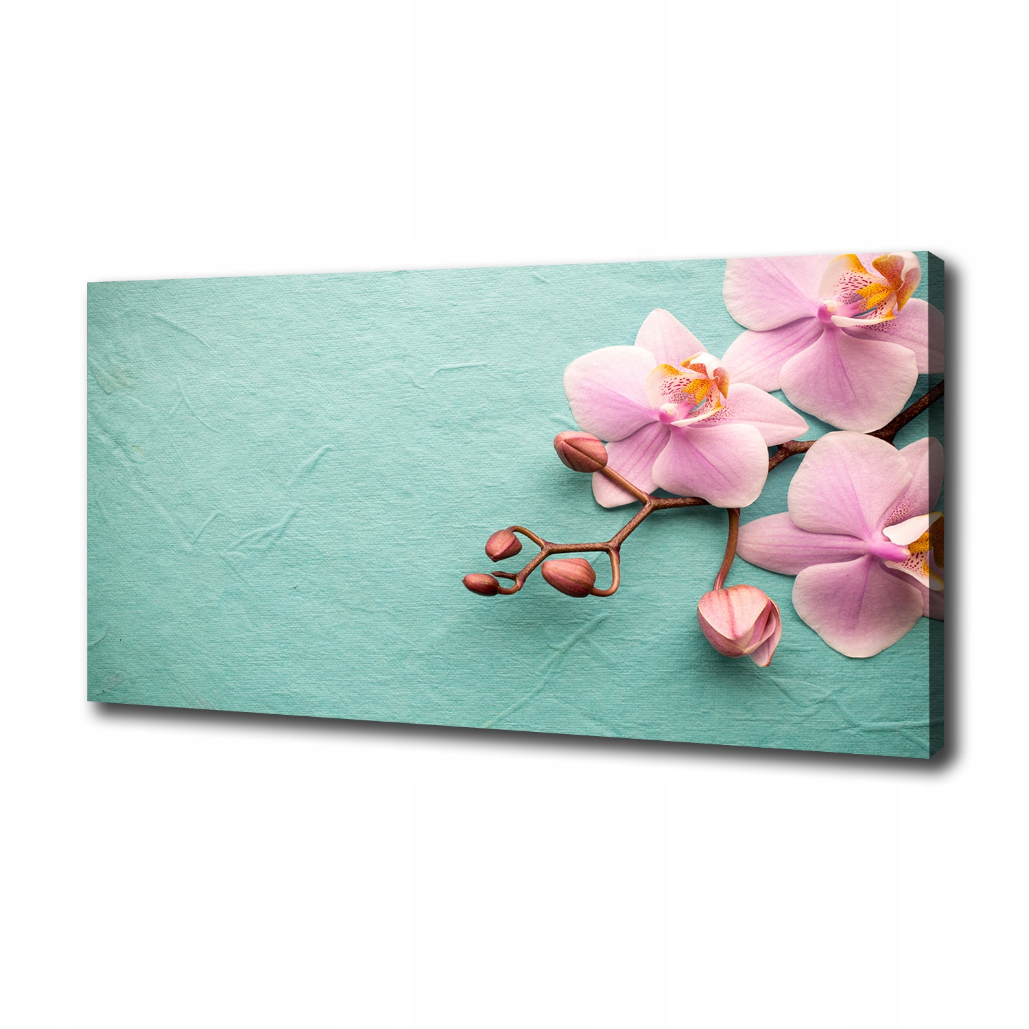 

Foto obraz canvas na ścianę Orchidea 100x50 cm