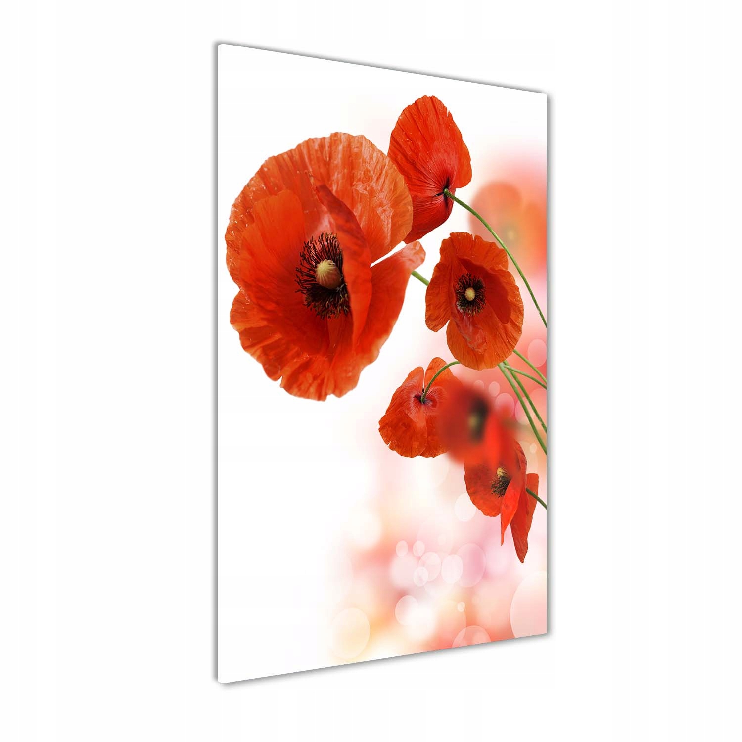 

Foto obraz akrylowy na ścianę Mak polny 60x120cm