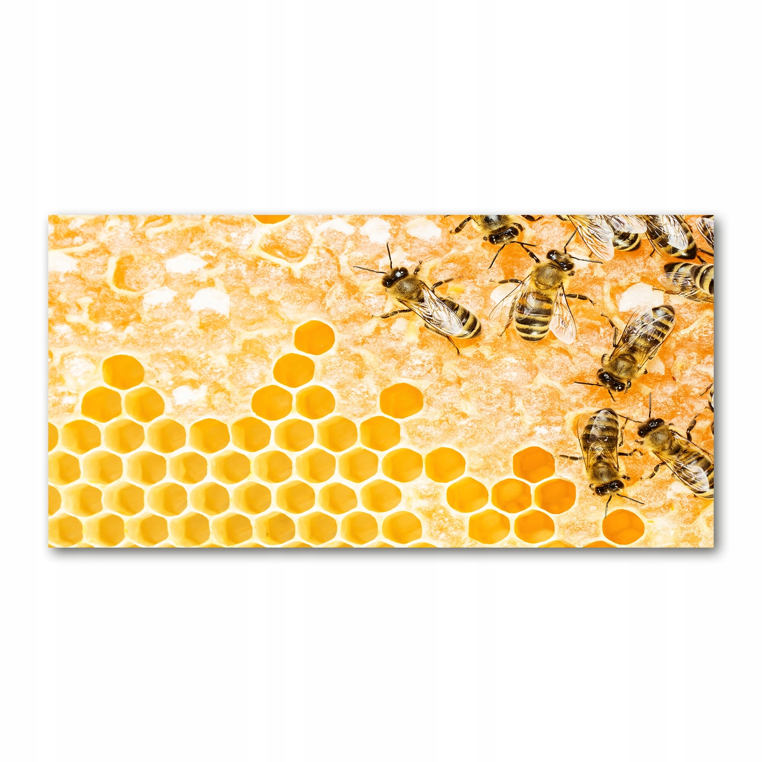 

Foto-obraz szklany Pracujące pszczoły 140x70