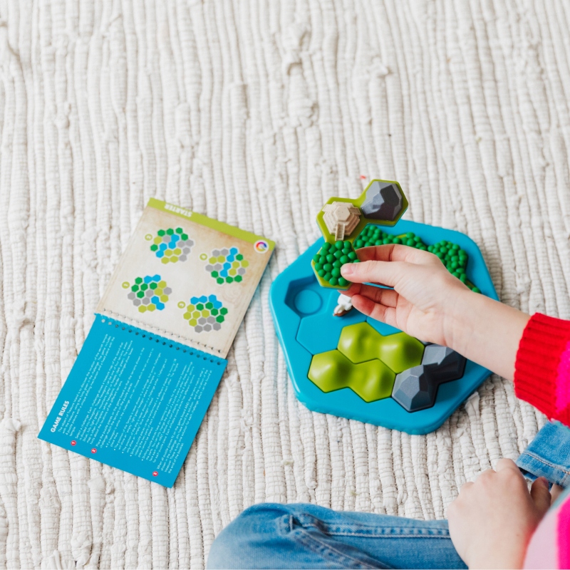 SMART GAMES GRA LOGICZNA TREASURE ISLAND WERSJA PL Typ Podstawa