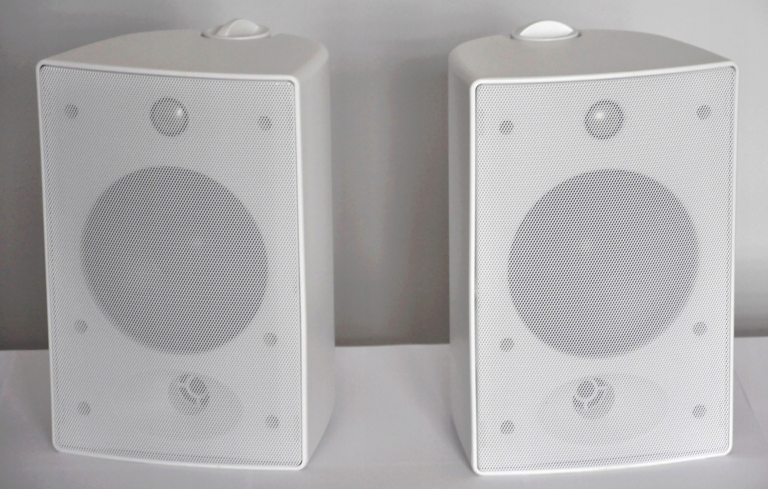 GŁOŚNIK NAŚCIENNY do DYSKOTEKA RESTAURACJA 100W ZEWNĘTRZNY CEWKA ALUMINIOWA Model GŁOŚNIK NAŚCIENNY WS6510 100W 6,5