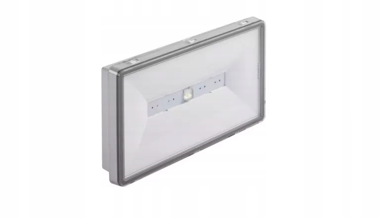 OPRAWA AWARYJNA LED ONTEC S W1
