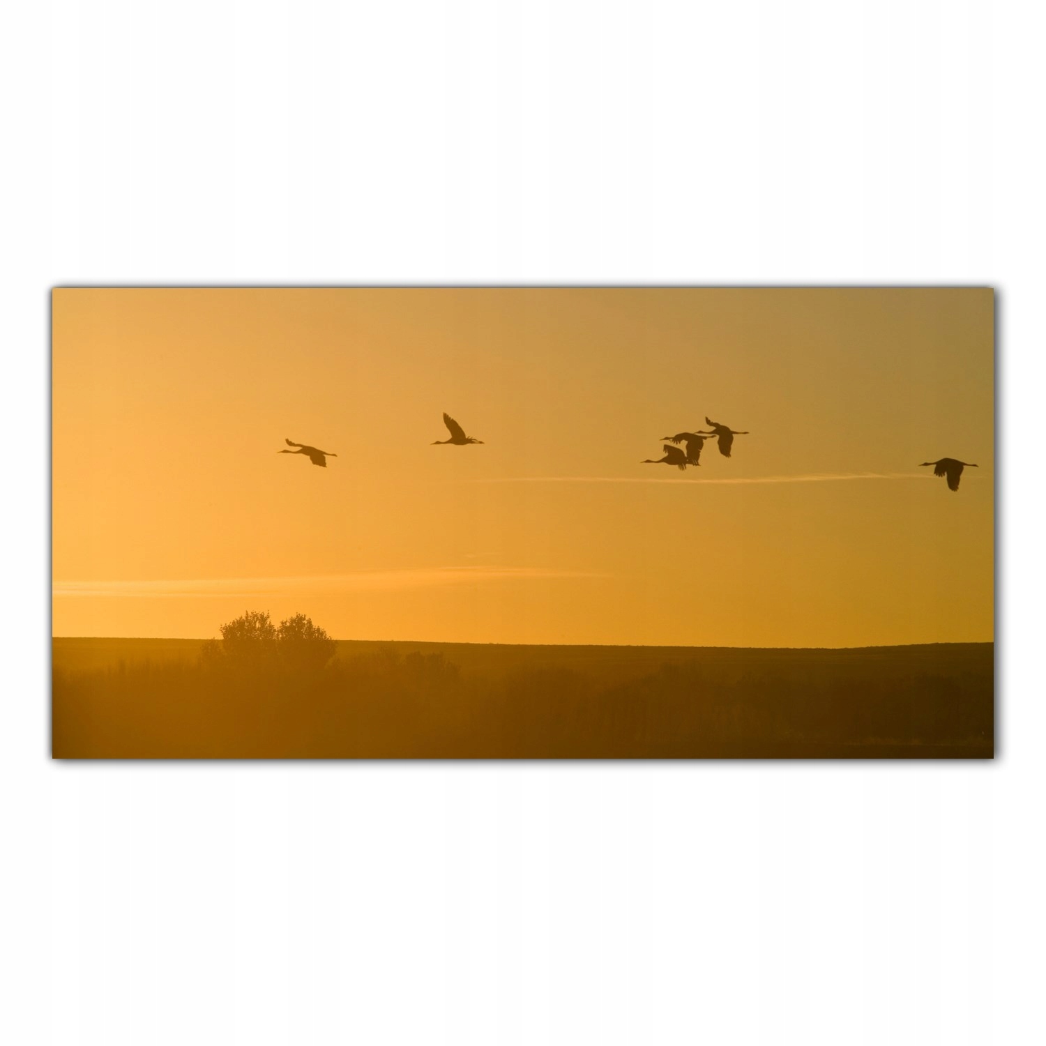 

Obraz na szkle Foto Dźwigi Zachód Słońca 120x60