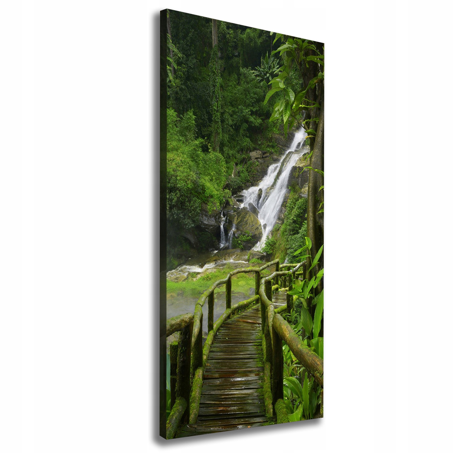 

Foto obraz na płótnie Ścieżka w dżungli 50x125 cm