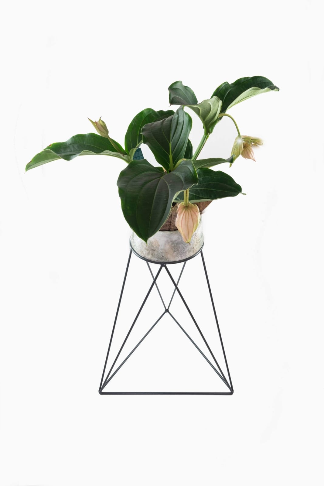 Kwietnik Metalowy Stojak na jedną donicę 90cm Typ wolnostojący