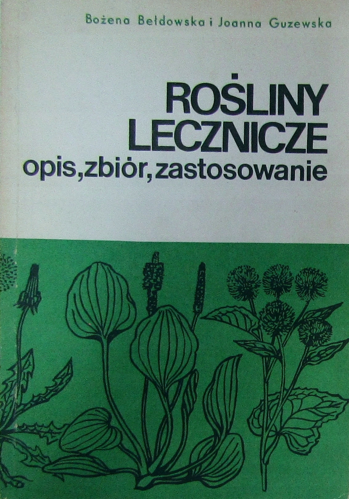 Rosliny Lecznicze Opis Zbior Beldowska Guzewska 45 Zl Allegro Pl Raty 0 Darmowa Dostawa Ze Smart Lodz Stan Nowy Id Oferty 9957422892