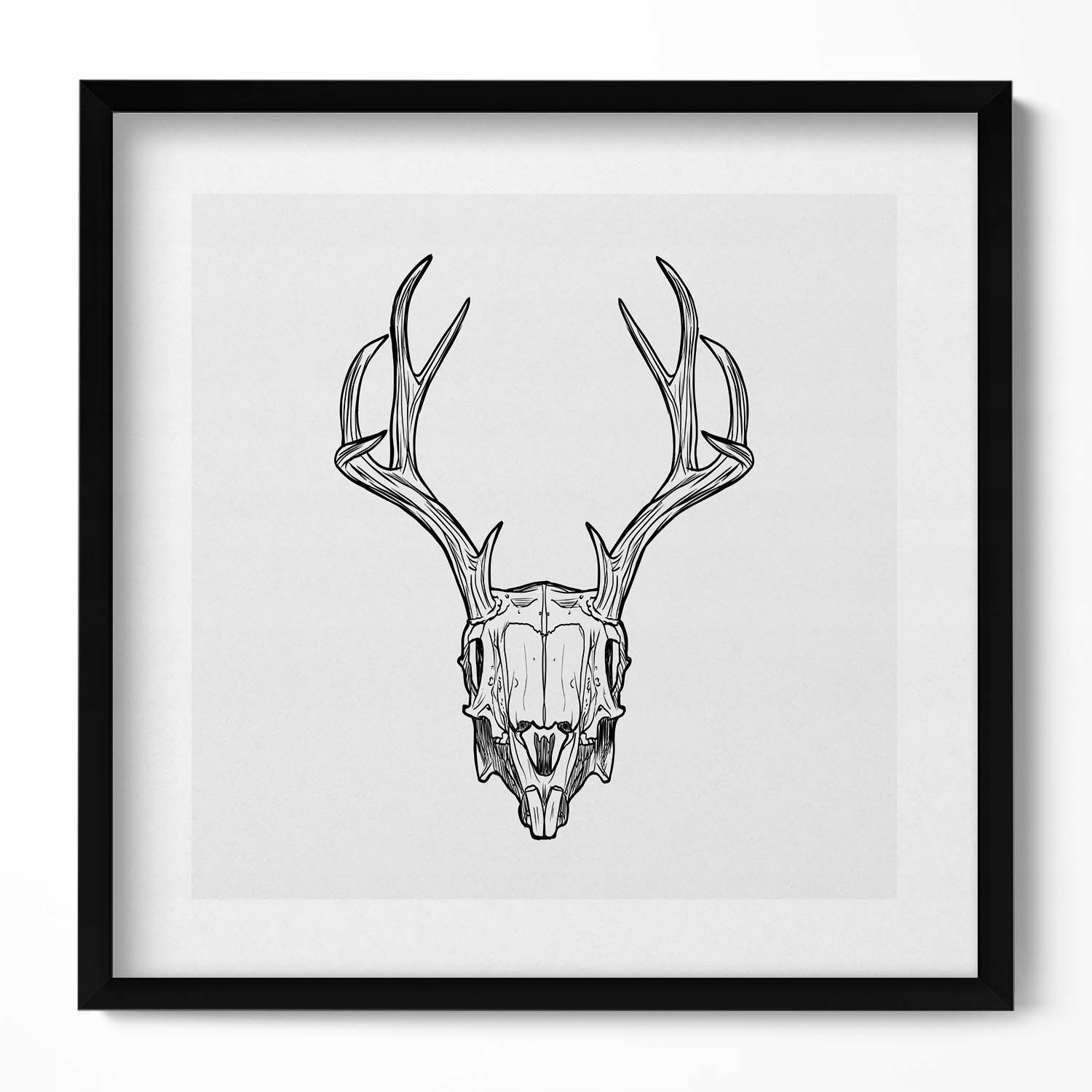 Dekorace obraz v rámu na zeď Lebka jelena s rohy náčrt 50x50 cm