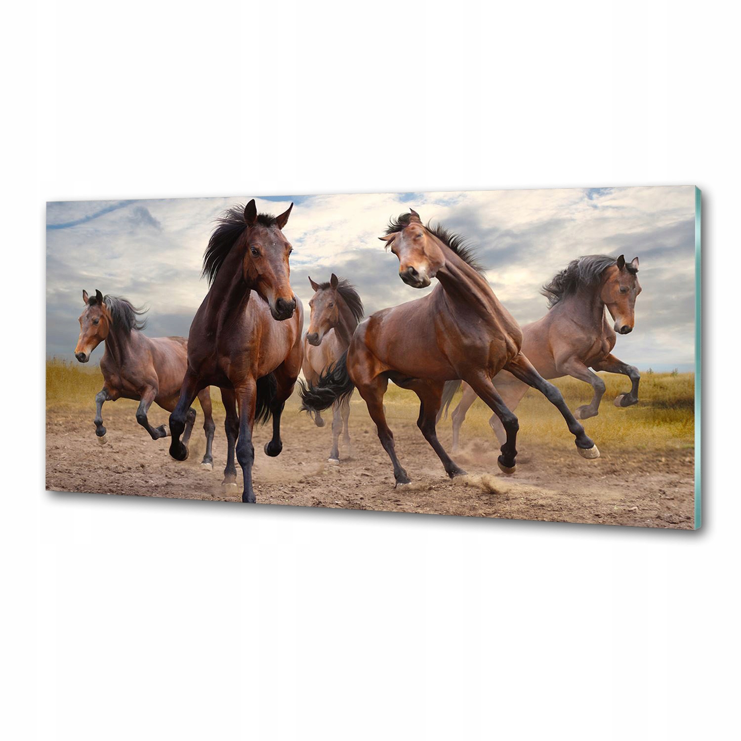 Panel medzi nábytkom v kuchyni Päť koní 125x50 Lepidlo