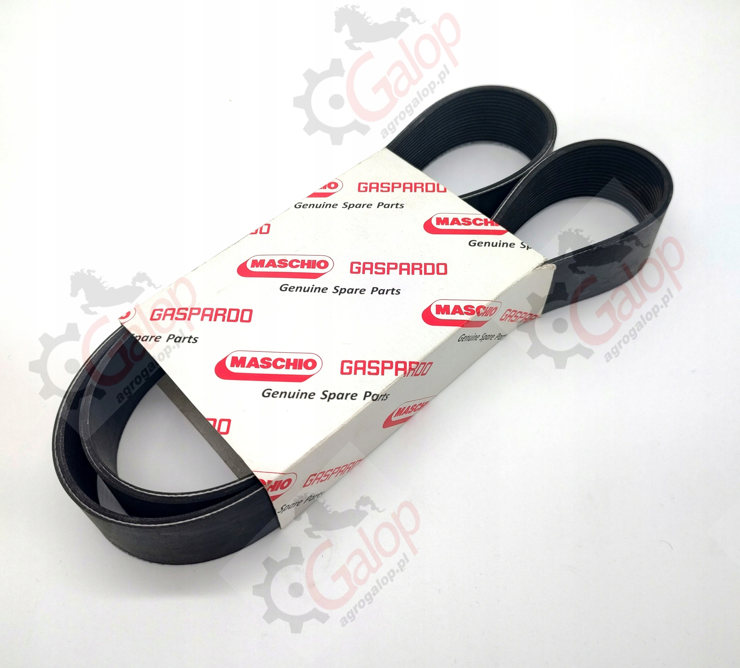 Ремінь вентилятора Gaspardo f06010160r оригінал