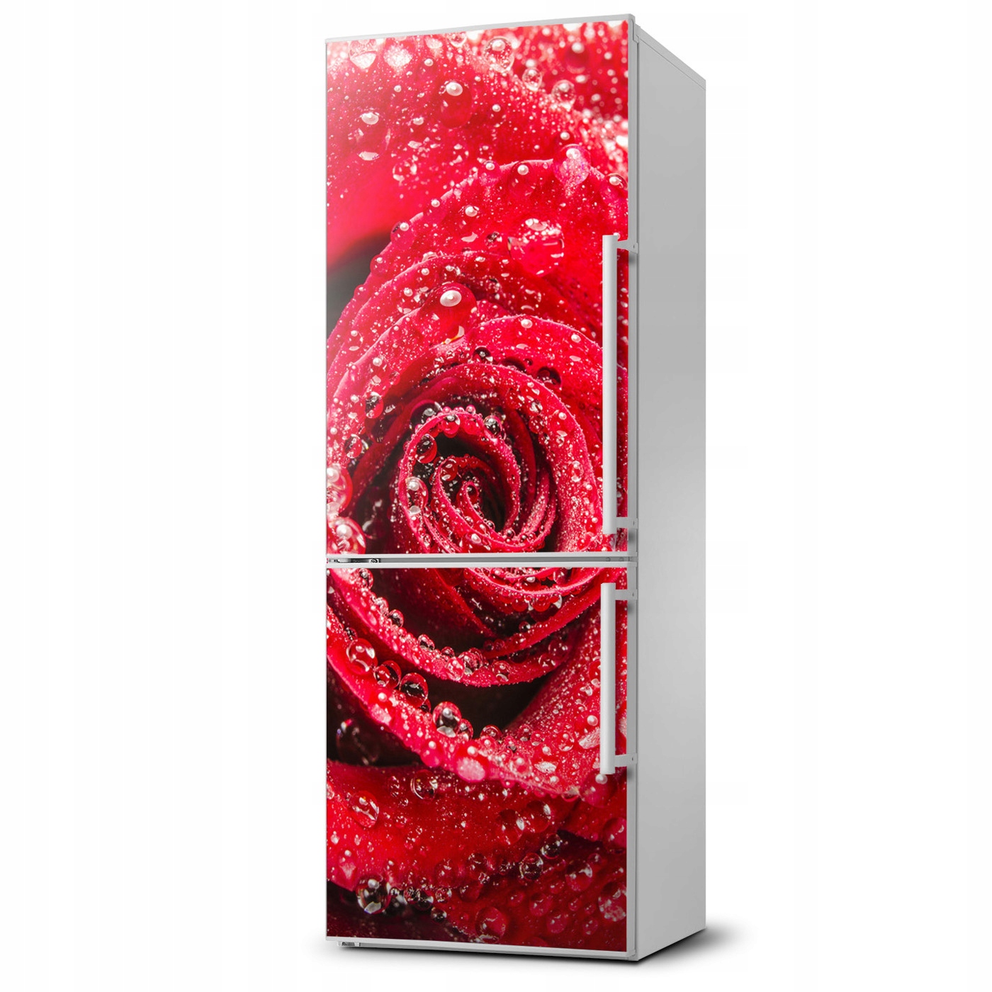 

Naklejka Magnes Magnes Czerwona róża 60x180