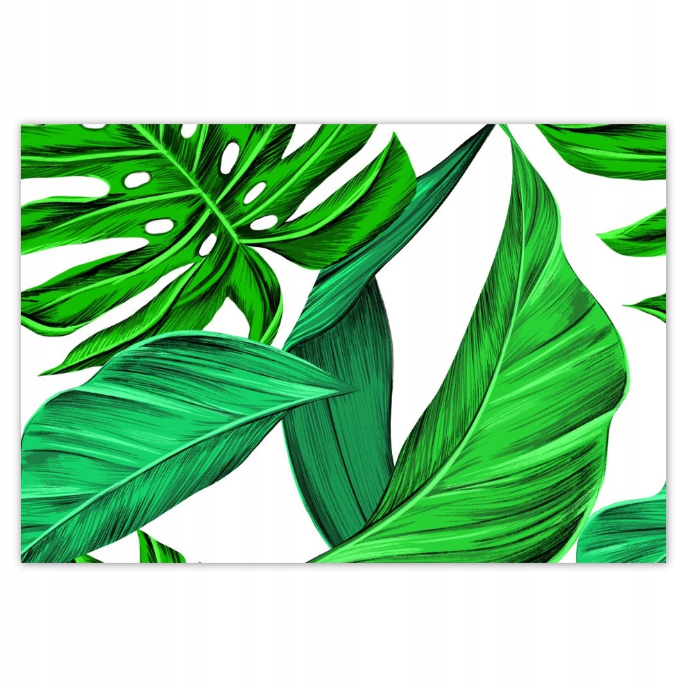 

Fototapety flizelina 104x70 Monstera Tropiki