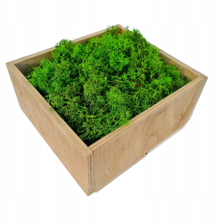 

Mech Reniferowy Chrobotek Zielony Ściółka 1,5kg