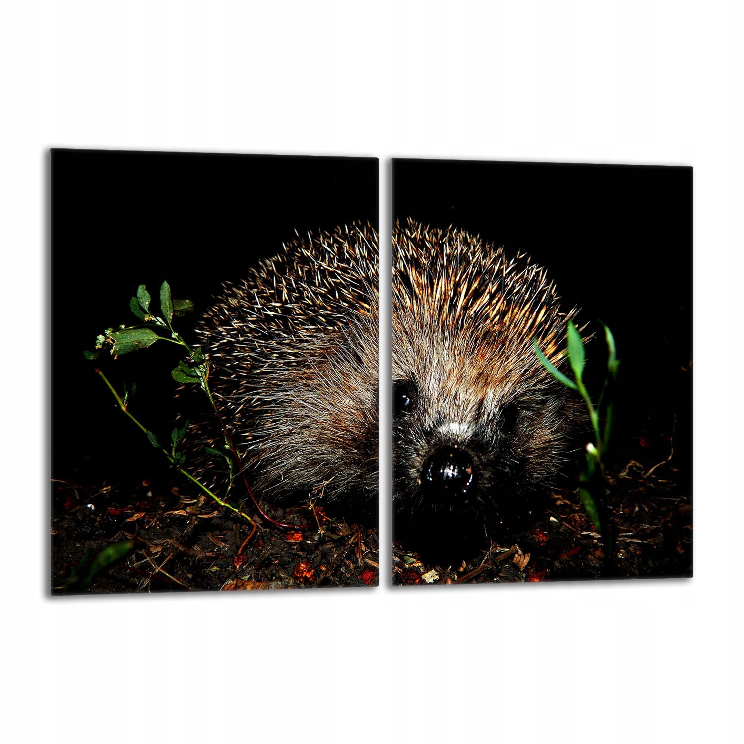 Skleněná ochranná deska na sporák 2x40x52 Ježek Do Kuchyně