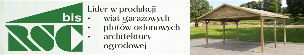 WIATA GARAŻOWA 400X600cm PŁYTA PVC Rodzaj wiata