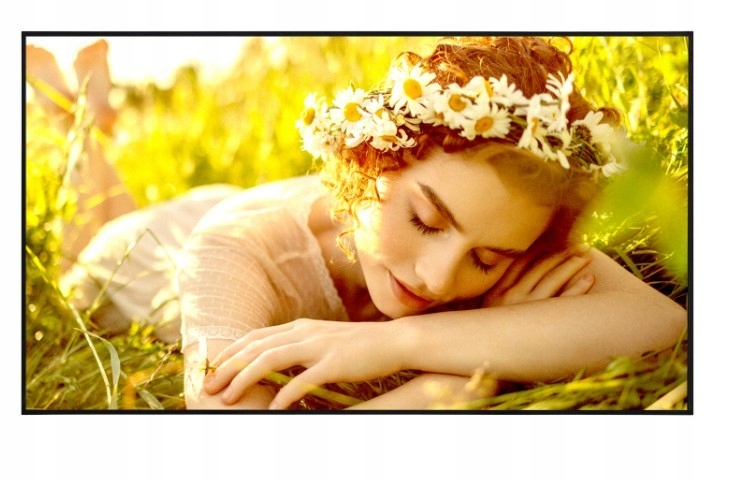 LG Electronics Monitor wielkoformatowy 50UL5Q-E 500cd/m2 UHD 24/7