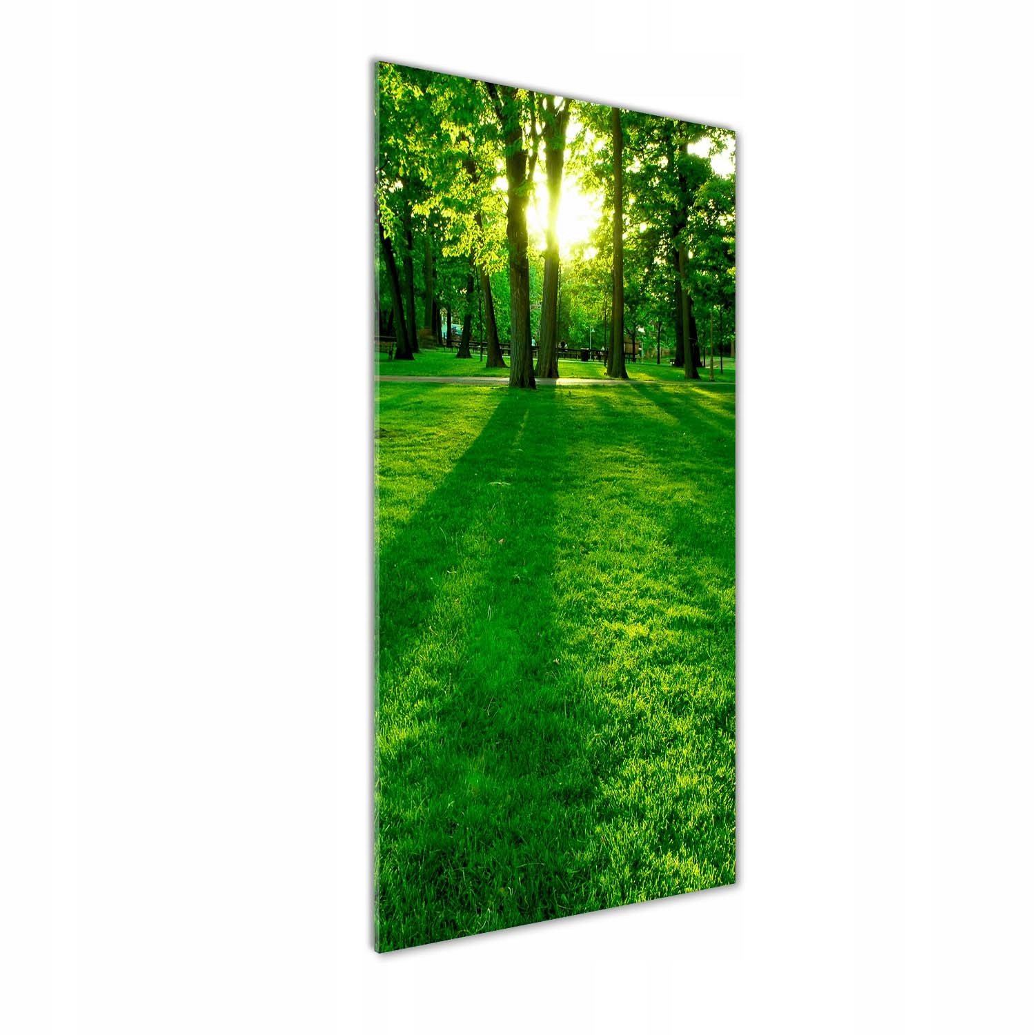 

Foto obraz zdjęcie na szkle Słońce w parku 50x125