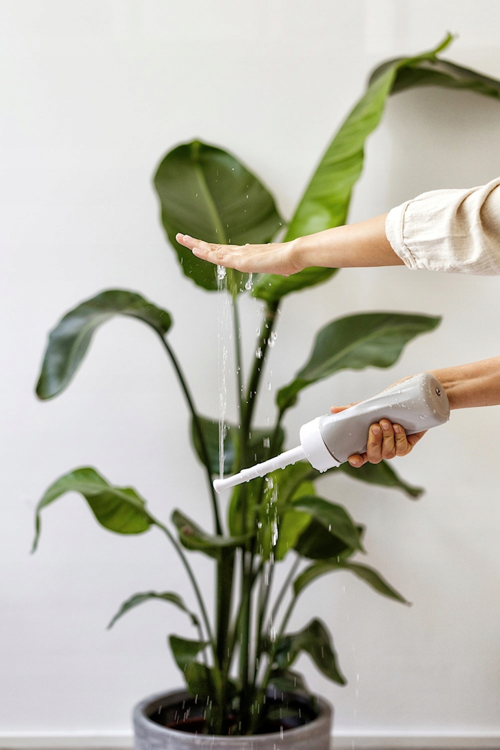 POOFI POPORODOWA BUTELKA DO PODMYWANIA , MINI PRYSZNIC Kod producenta 5905562050683