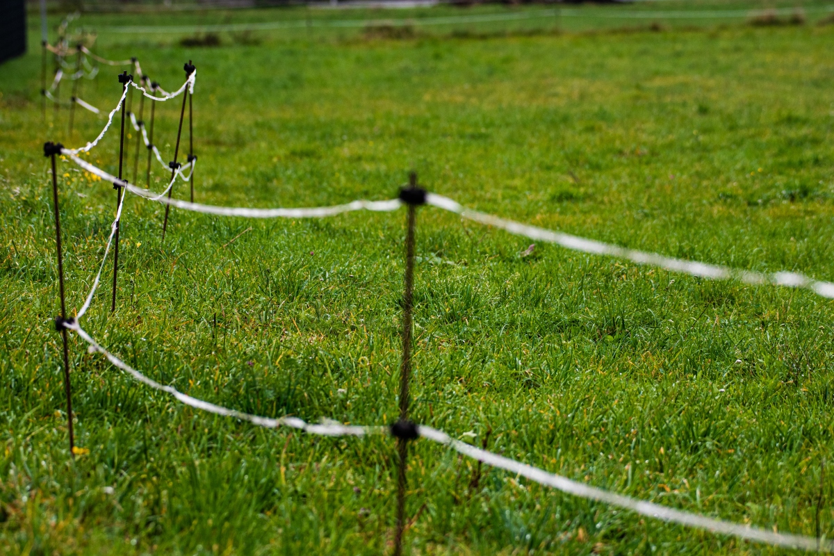 PASTUCH IZOLATORY IZOLATOR DO TAŚM TAŚMY 25 SZT PASTUCH DLA KONI KOŃ DZIKI Marka inny