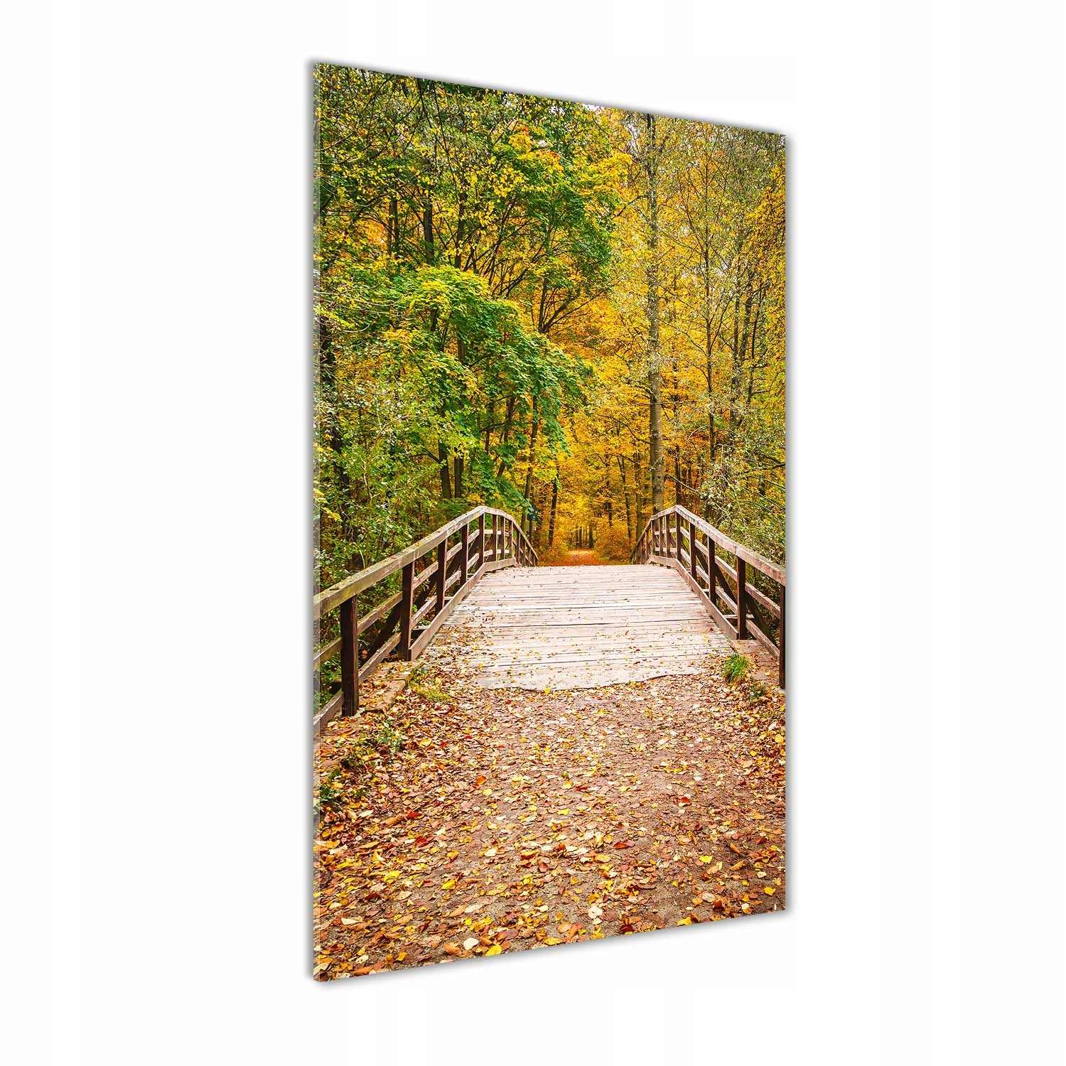 Moderní akrylový fotoobraz Les na podzim 70x140