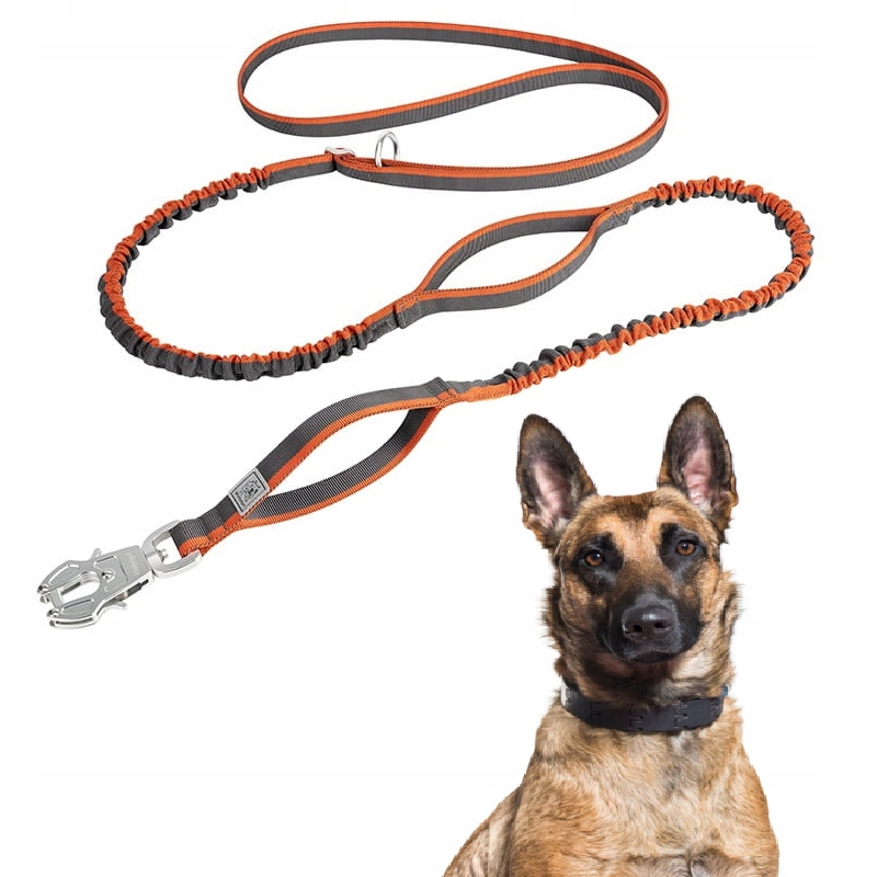 Levně Vodítko Pro Psa S Tlumičem Silné Winhyepet Oranžové 2,7 M